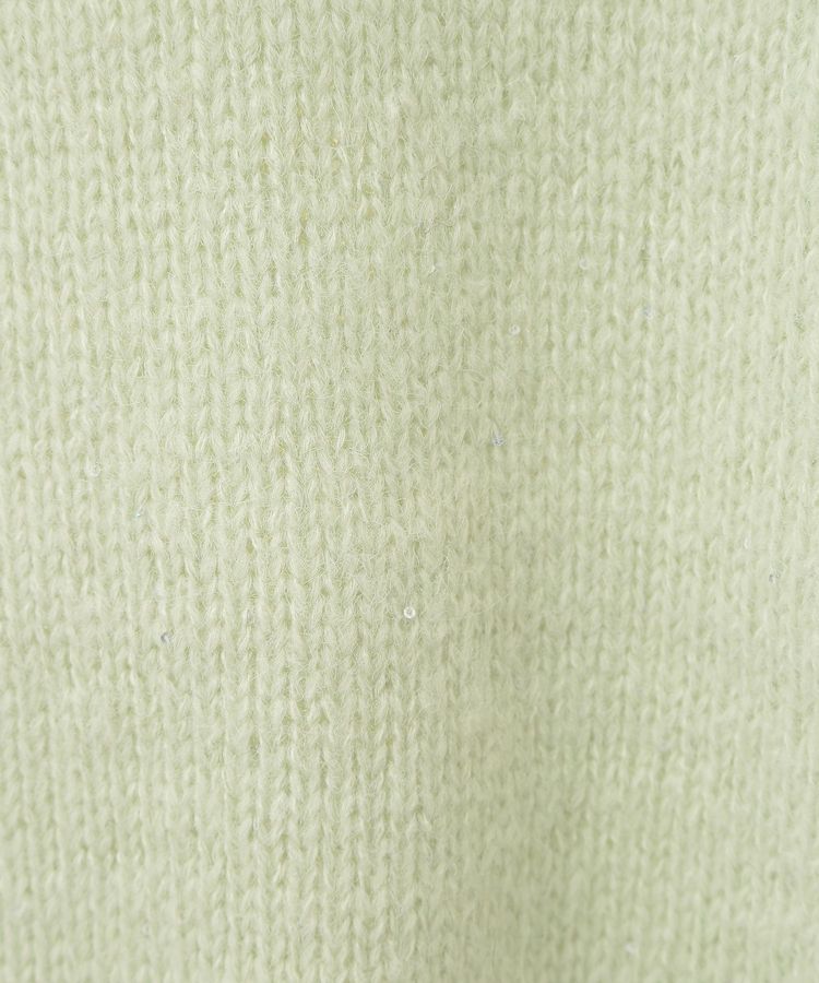 earth music&ecology「スパンコールショートニットプルオーバー」|ニット・セーター|