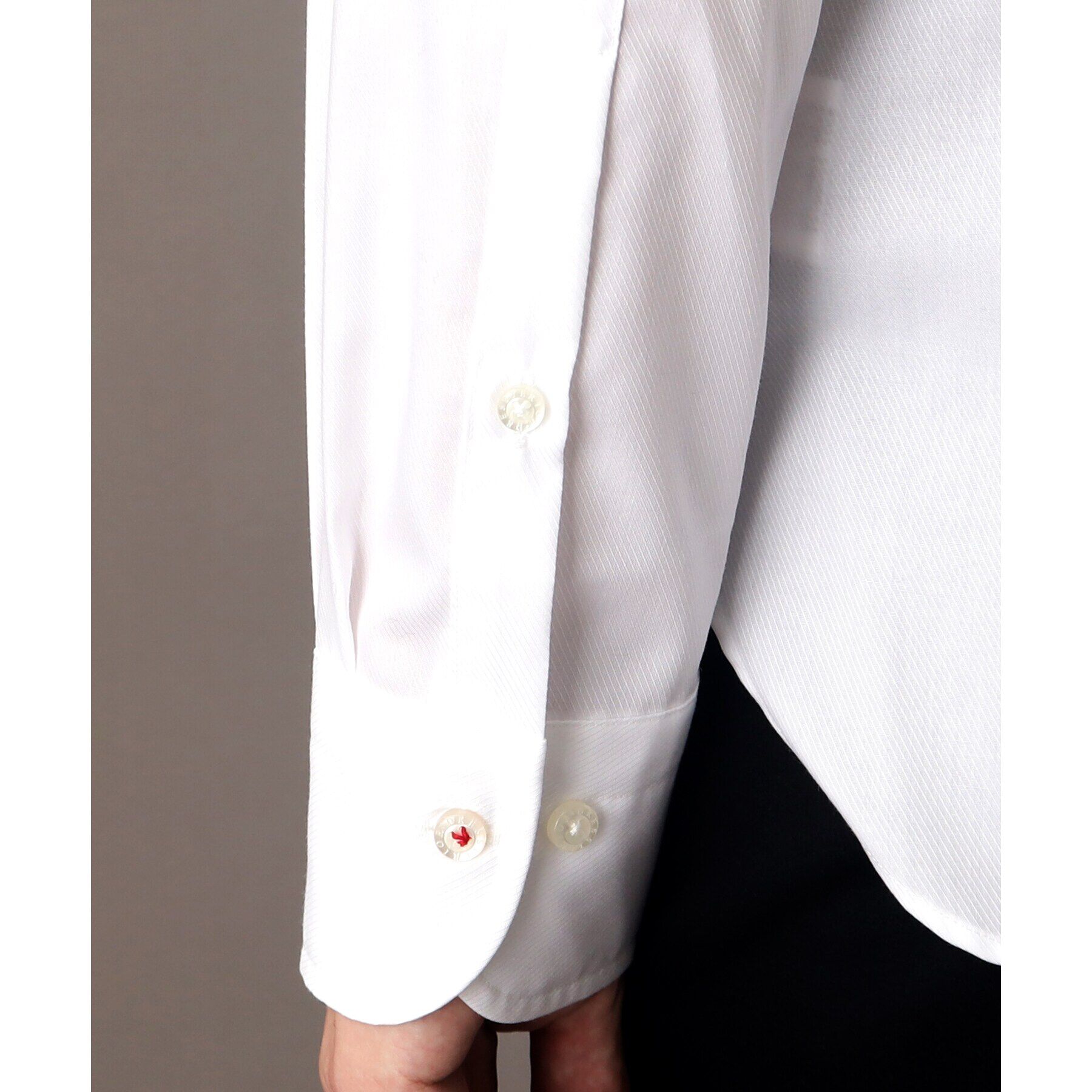 DRESSTERIOR「ホワイトツイル ワイドカラーシャツ」|シャツ・ブラウス|