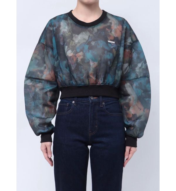 EMODA「シアーボリュームスリーブトップ」|Tシャツ・カットソー|