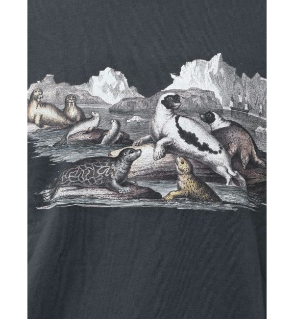 merry jenny「she saw seal sweat」|スウェット・ジャージ|