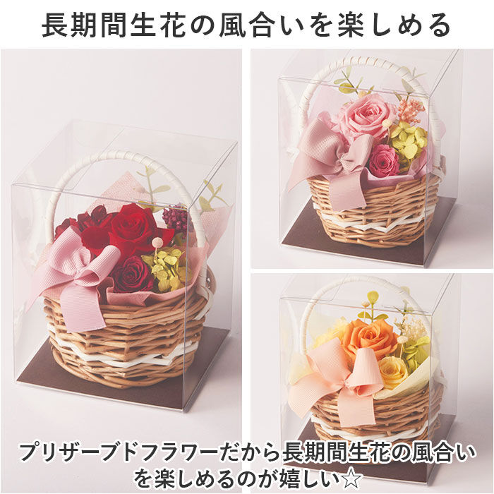 BACKYARD FAMILY「プリザーブドフラワー かご 通販 フラワーバスケット フラワーアレンジメント プリザードフラワー」|その他|