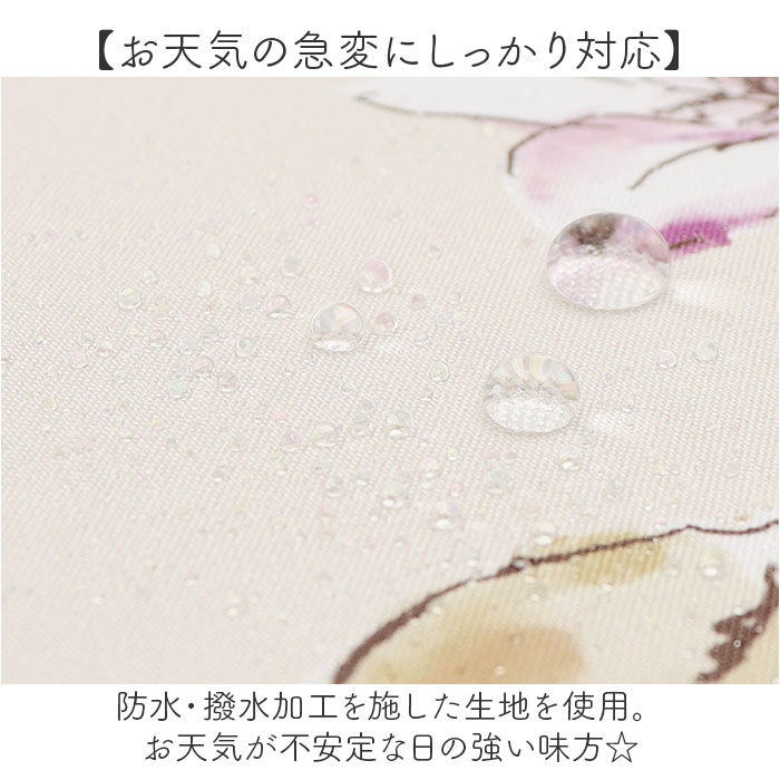 BACKYARD FAMILY「because 傘 ビコーズ 通販 晴雨兼用傘 折りたたみ傘 カサ かさ レディース 晴雨兼用」|傘|