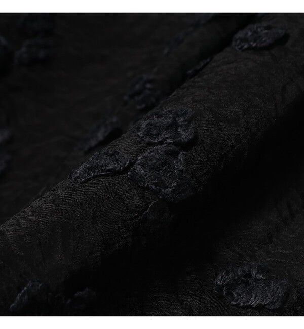 Demi-Luxe BEAMS 「シアーカット ジャガード ブラウス」|シャツ・ブラウス|