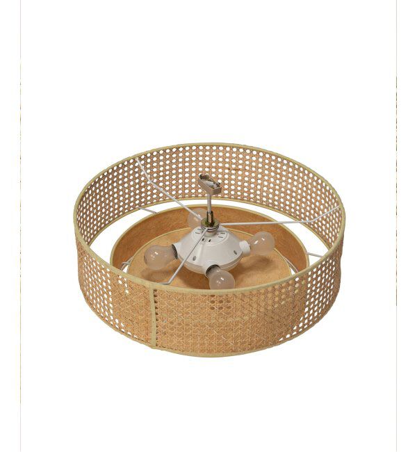 journal standard Furniture「DAFNE CEILING LAMP ダフネ シーリングランプ」|その他|