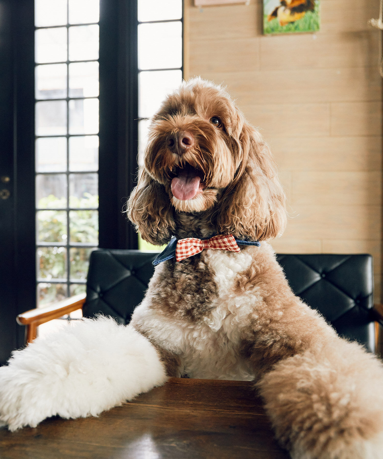 ROPE PICNIC PASSAGE「【comif(コミフ)&times;ROPE' PICNIC】【DOG】襟付き蝶ネクタイ」|その他|