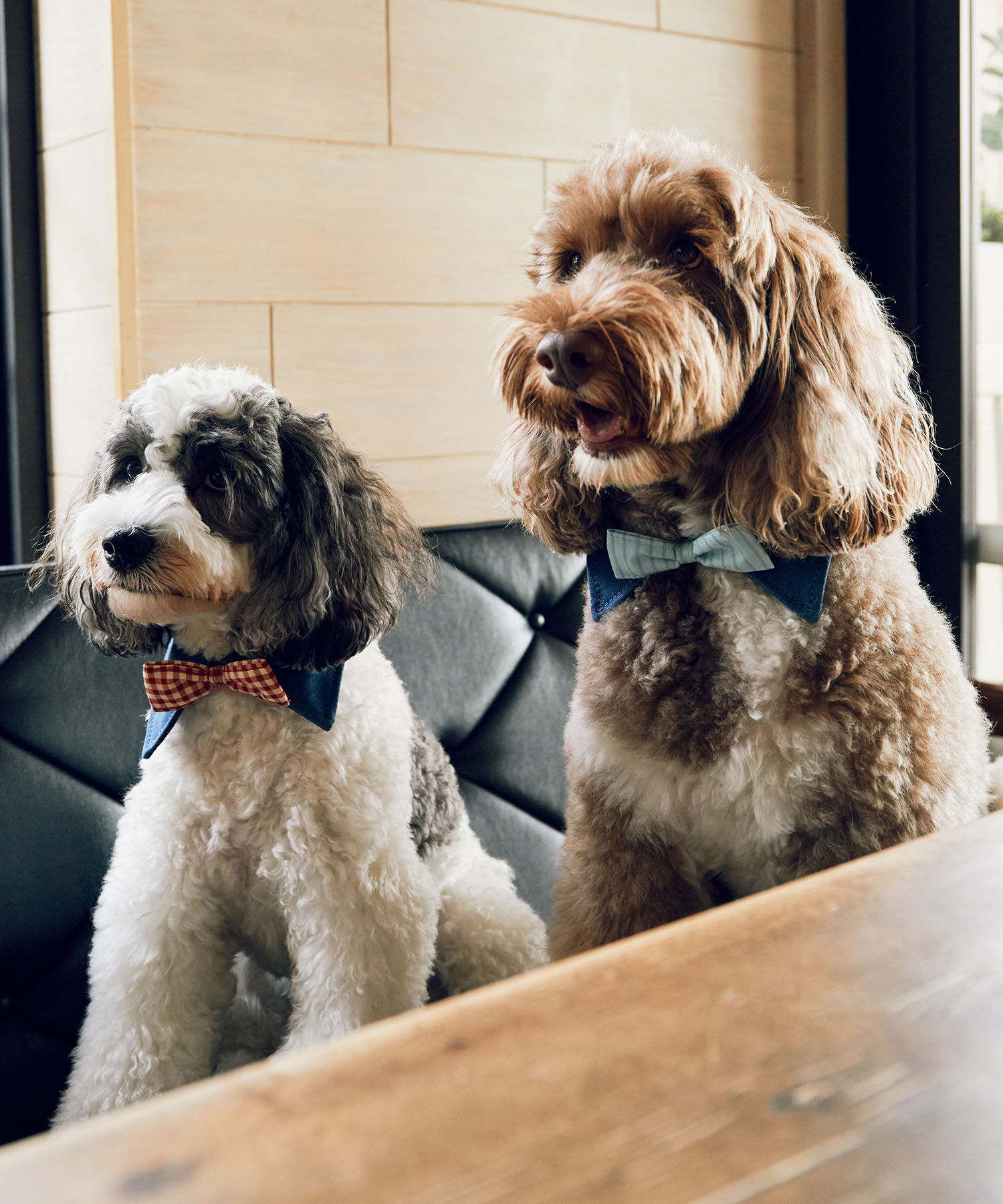 ROPE PICNIC PASSAGE「【comif(コミフ)&times;ROPE' PICNIC】【DOG】襟付き蝶ネクタイ」|その他|