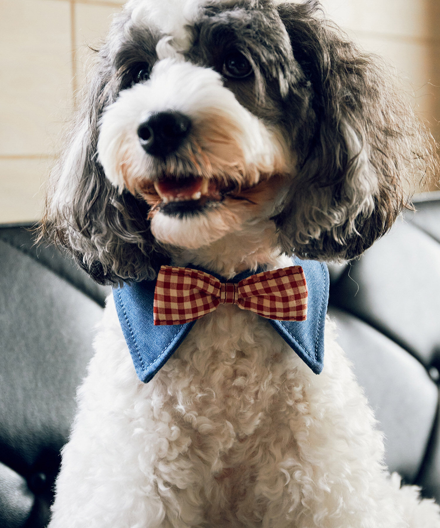 ROPE PICNIC PASSAGE「【comif(コミフ)&times;ROPE' PICNIC】【DOG】襟付き蝶ネクタイ」|その他|レッド(60)