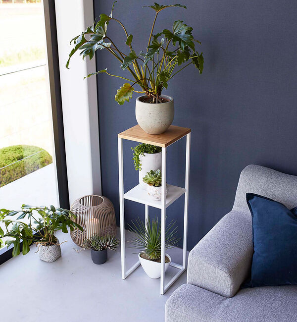 collex「【tower/タワー】 加湿器スタンド」|食器・キッチングッズ|