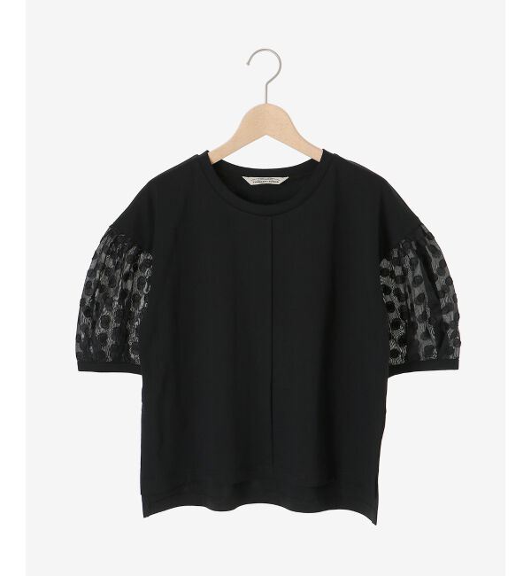  「TORRAZZO DONNAドット切替カットソー」|Tシャツ・カットソー|