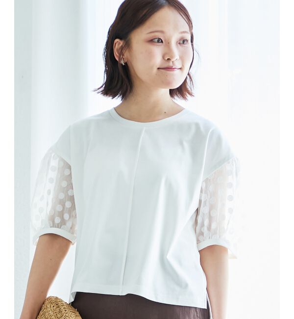  「TORRAZZO DONNAドット切替カットソー」|Tシャツ・カットソー|