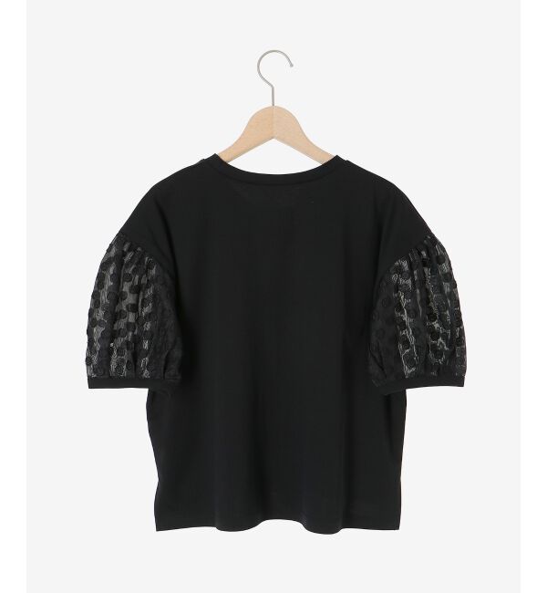  「TORRAZZO DONNAドット切替カットソー」|Tシャツ・カットソー|