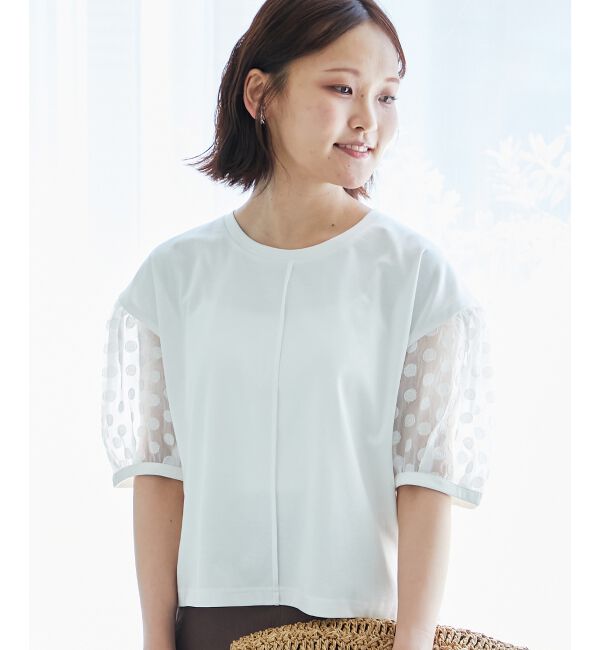  「TORRAZZO DONNAドット切替カットソー」|Tシャツ・カットソー|