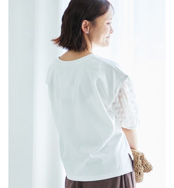  「TORRAZZO DONNAドット切替カットソー」|Tシャツ・カットソー|