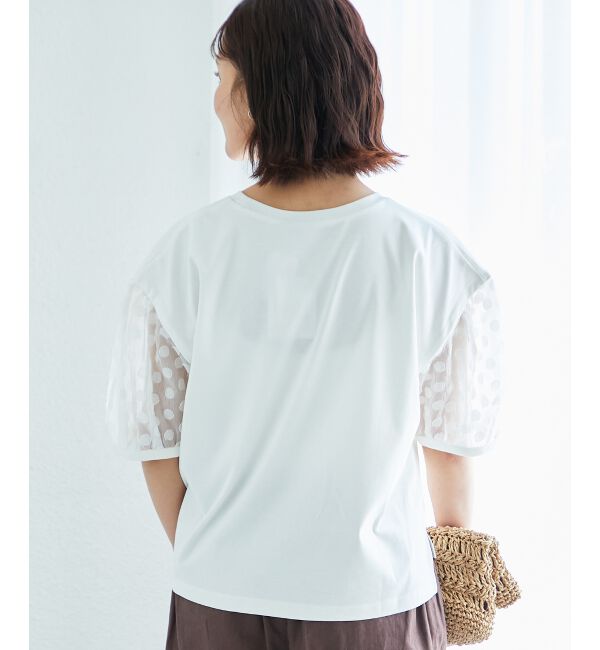  「TORRAZZO DONNAドット切替カットソー」|Tシャツ・カットソー|