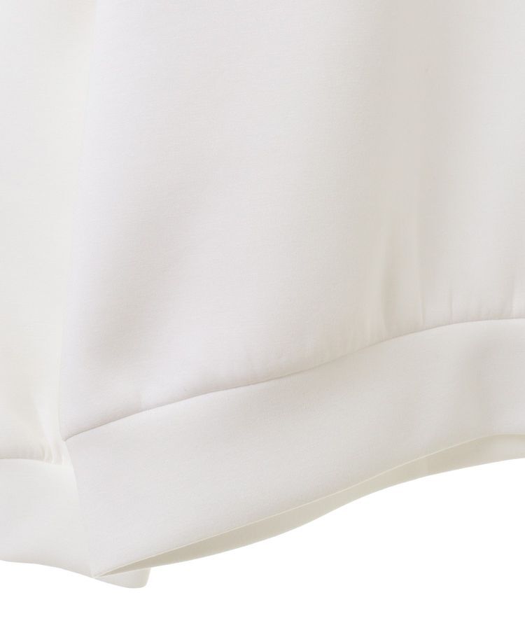 AMERICAN HOLIC「袖タックポンチプルオーバー」|スウェット・ジャージ|