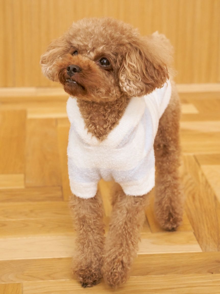  GELATO PIQUE CAT&DOG「【CAT&DOG】スムーズィー２ボーダーフーディー」|その他|