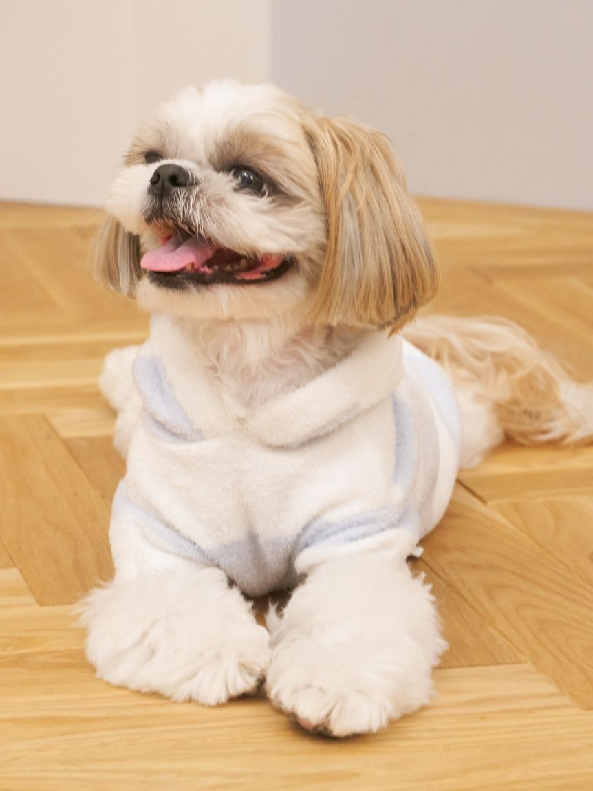  GELATO PIQUE CAT&DOG「【CAT&DOG】スムーズィーXLサイズ２ボーダーフーディー」|その他|