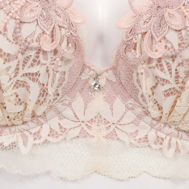 intesucre「アンテシュクレ なでしこブラ ブラジャー単品 H-J/65-85 IBT363」|インナー|