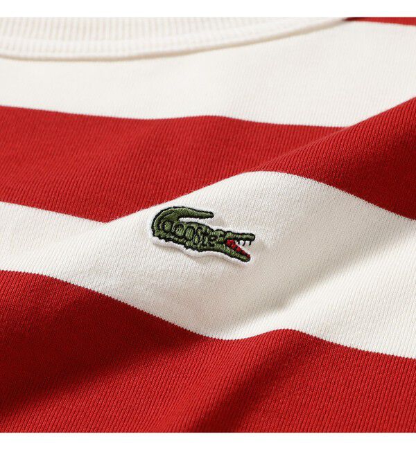 BEAMSBOY「【WEB限定】【別注】LACOSTE / ボーダー ショートスリーブ Tシャツ」|Tシャツ・カットソー|