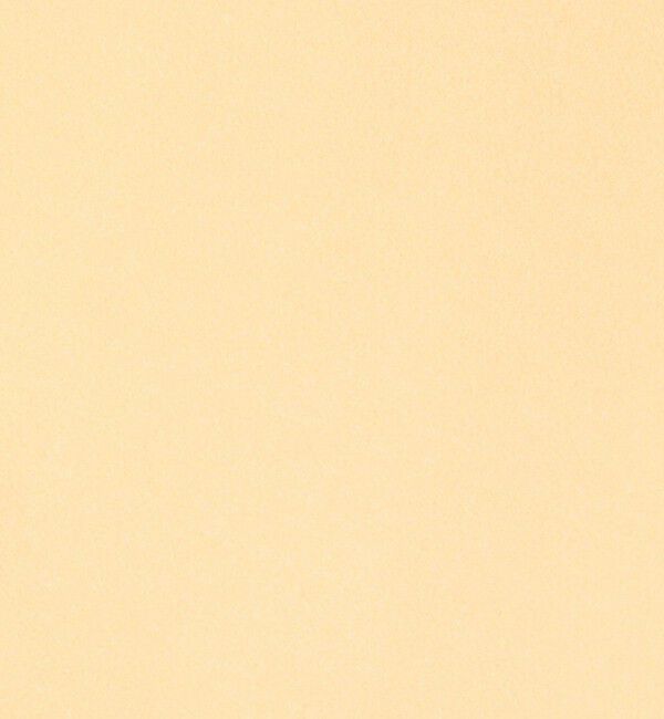 Ballsey「ニードルジャージー トラペーズスカート」|台形|