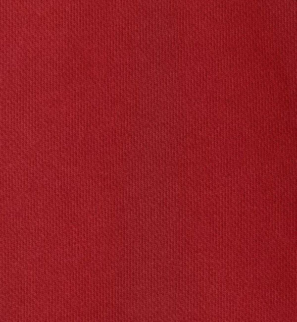 JAMES PERSE「グレイトフル デッド パーカー WQU3640GRD」|パーカー|