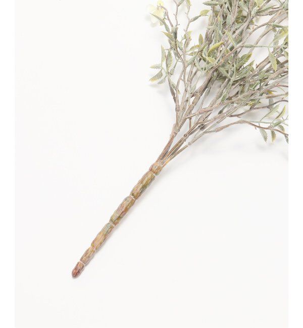 journal standard Furniture「【Brown./ブラウン】 ホワイトフラワー ハンギングブッシュ　フェイクグリーン」|その他|