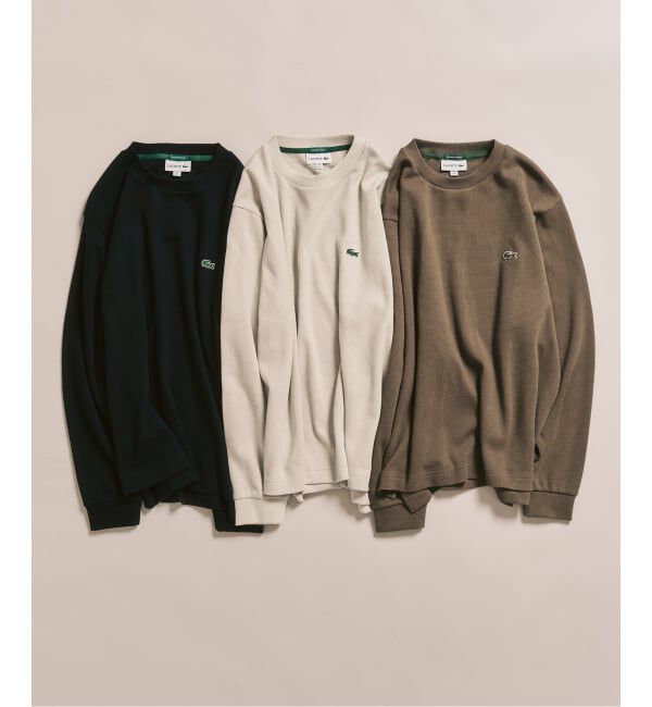 417 EDIFICE「【LACOSTE / ラコステ】 別注 ワッフルL/S カットソー」|Tシャツ・カットソー|