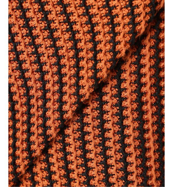 JOURNAL STANDARD relume「ストライプ カラーレース 半袖シャツ」|シャツ・ブラウス|