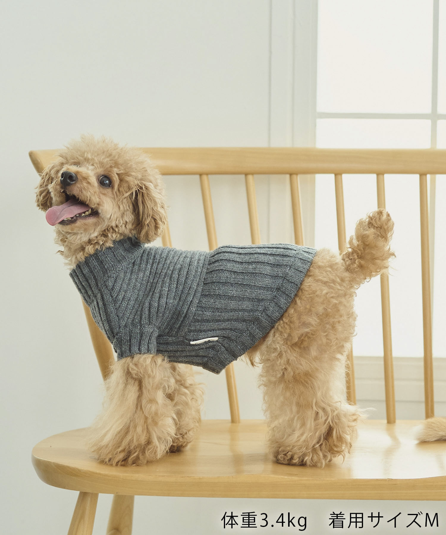 ROPE PICNIC PASSAGE「【DOG】リブ切り替えニットプルオーバー」|その他|