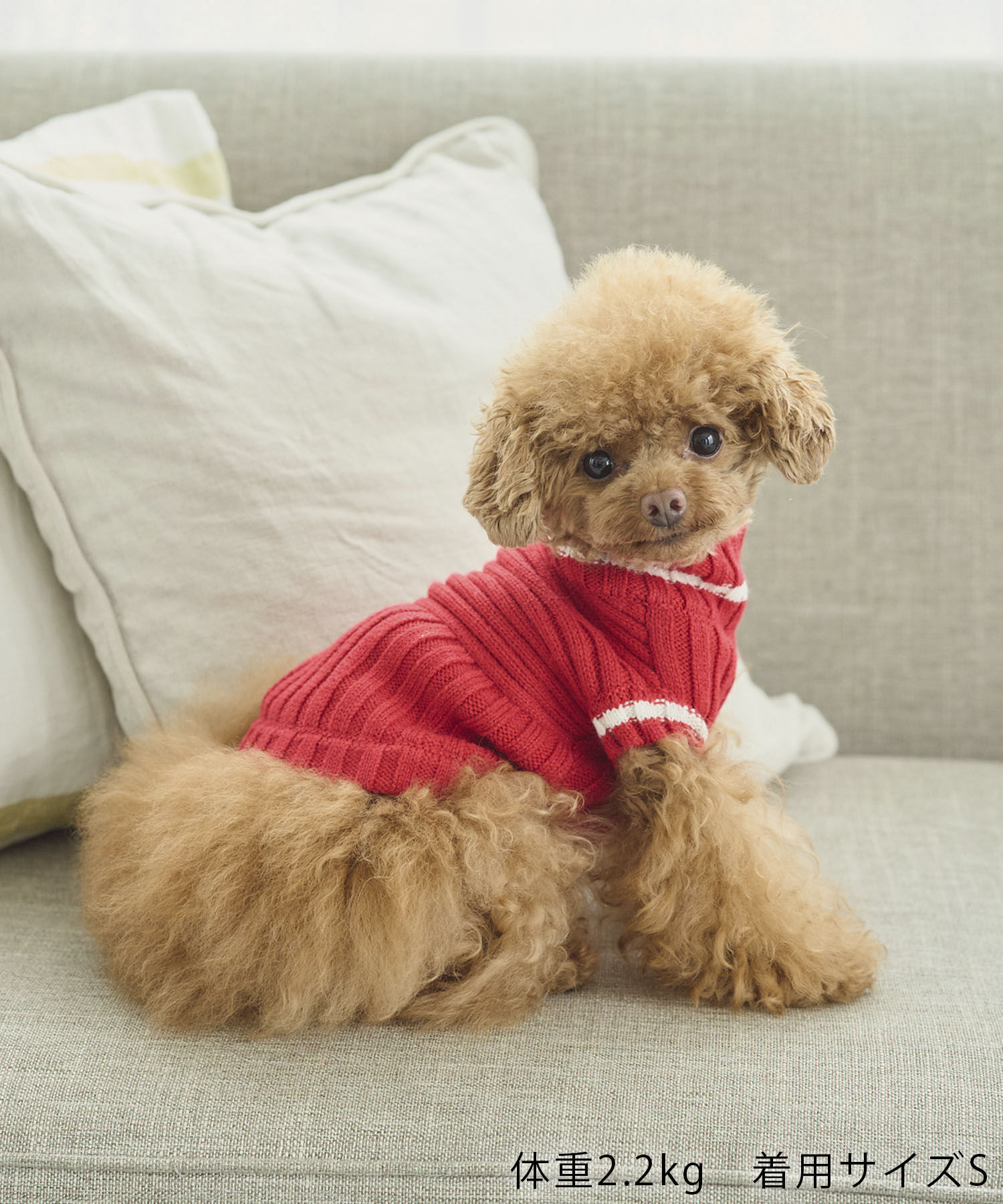 ROPE PICNIC PASSAGE「【DOG】リブ切り替えニットプルオーバー」|その他|