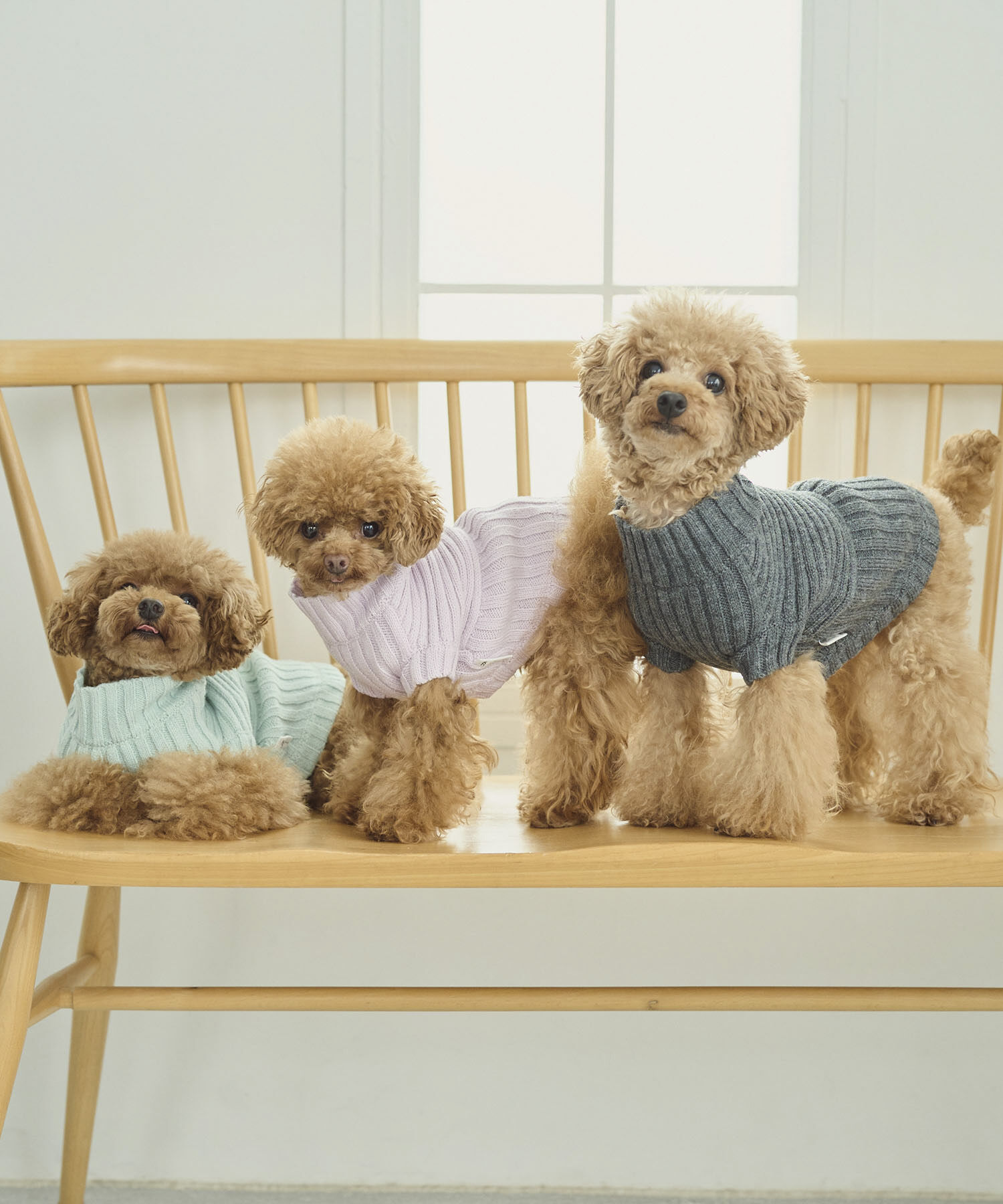 ROPE PICNIC PASSAGE「【DOG】リブ切り替えニットプルオーバー」|その他|