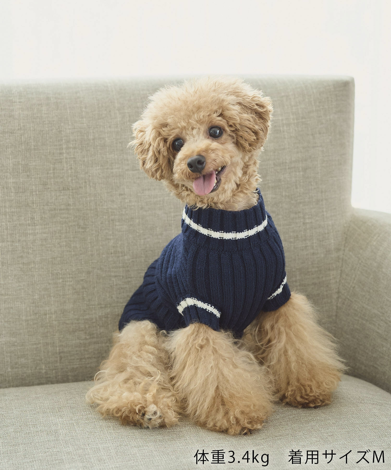 ROPE PICNIC PASSAGE「【DOG】リブ切り替えニットプルオーバー」|その他|