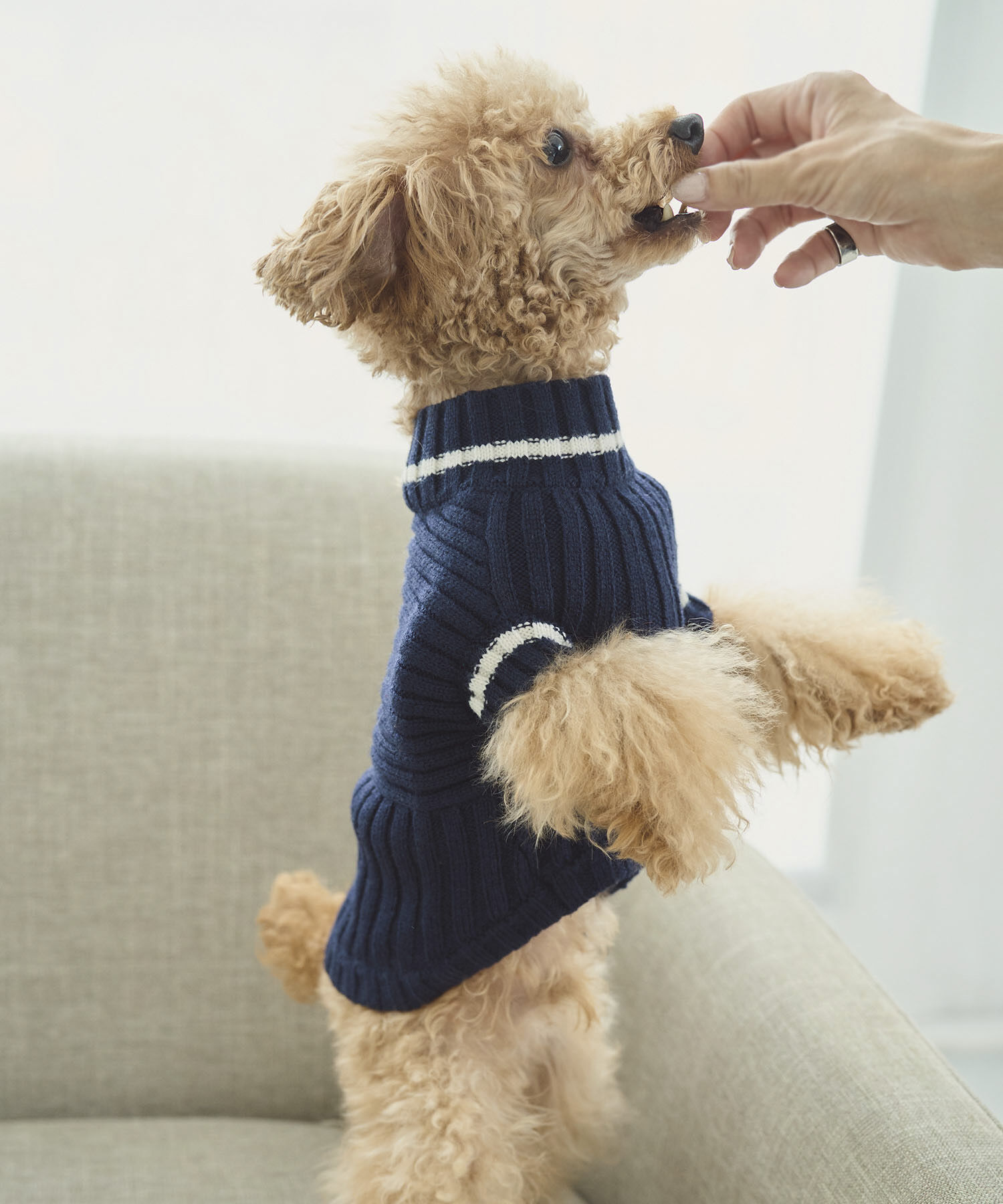 ROPE PICNIC PASSAGE「【DOG】リブ切り替えニットプルオーバー」|その他|