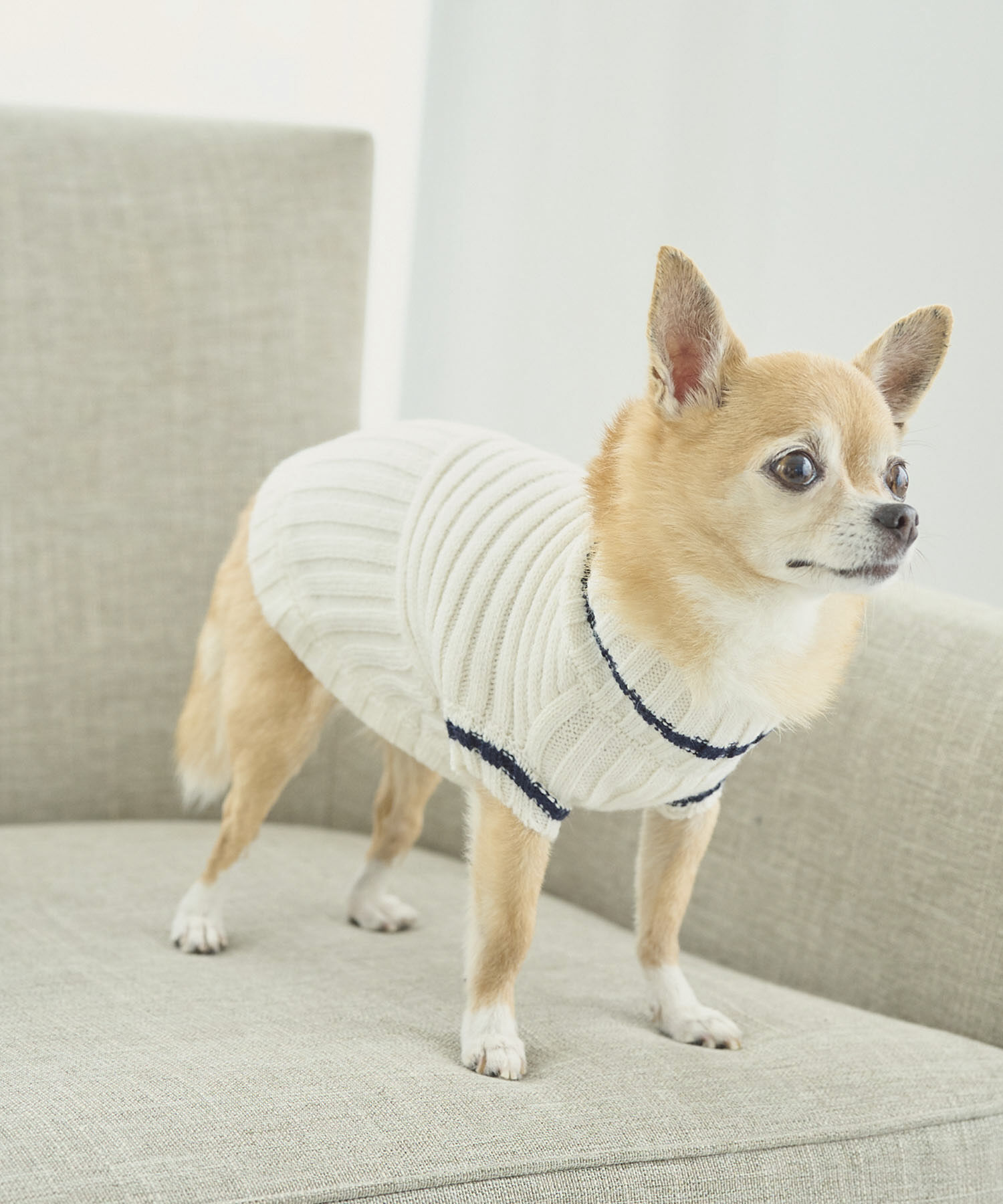 ROPE PICNIC PASSAGE「【DOG】リブ切り替えニットプルオーバー」|その他|キナリ系(17)