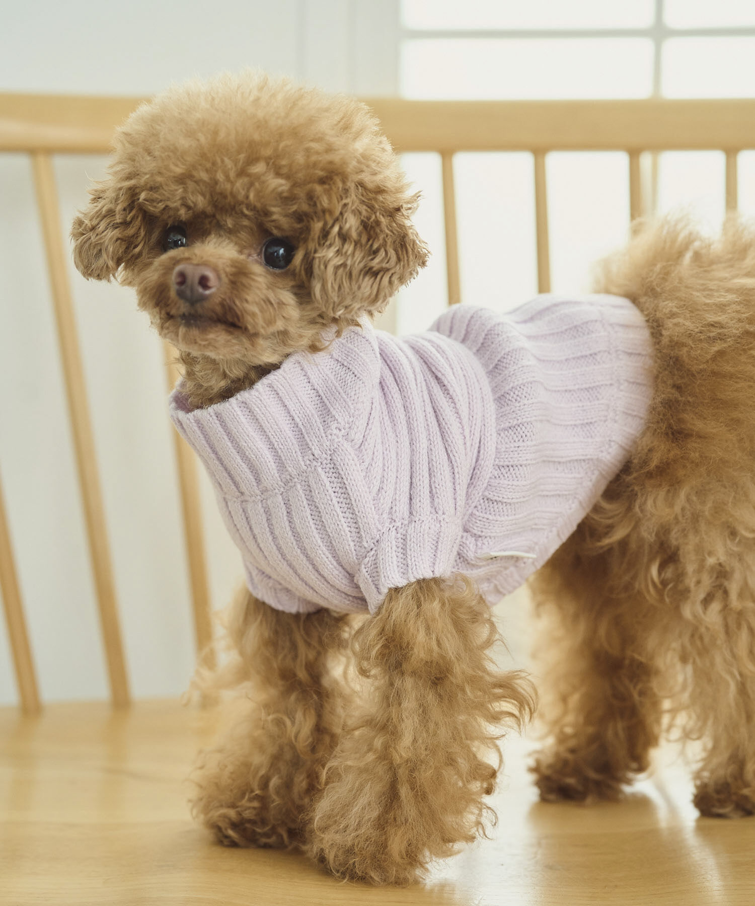 ROPE PICNIC PASSAGE「【DOG】リブ切り替えニットプルオーバー」|その他|ピンク(63)