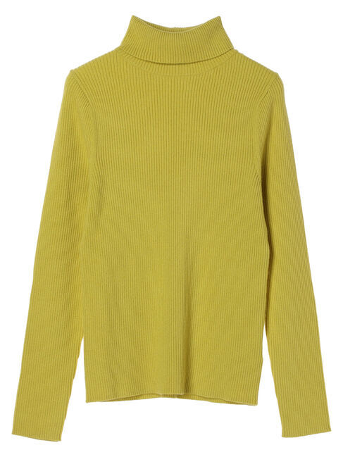 earth music&ecology「やわらかタッチリブタートルネックプルオーバー」|ニット・セーター|