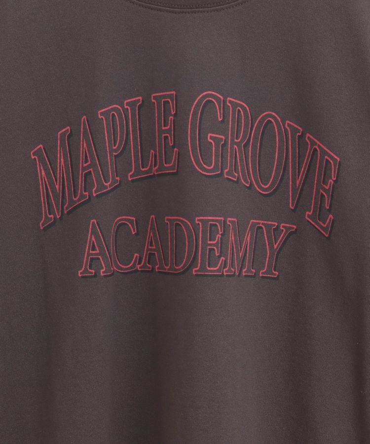 AMERICAN HOLIC「バイオウォッシュ加工ロゴTシャツ」|Tシャツ・カットソー|