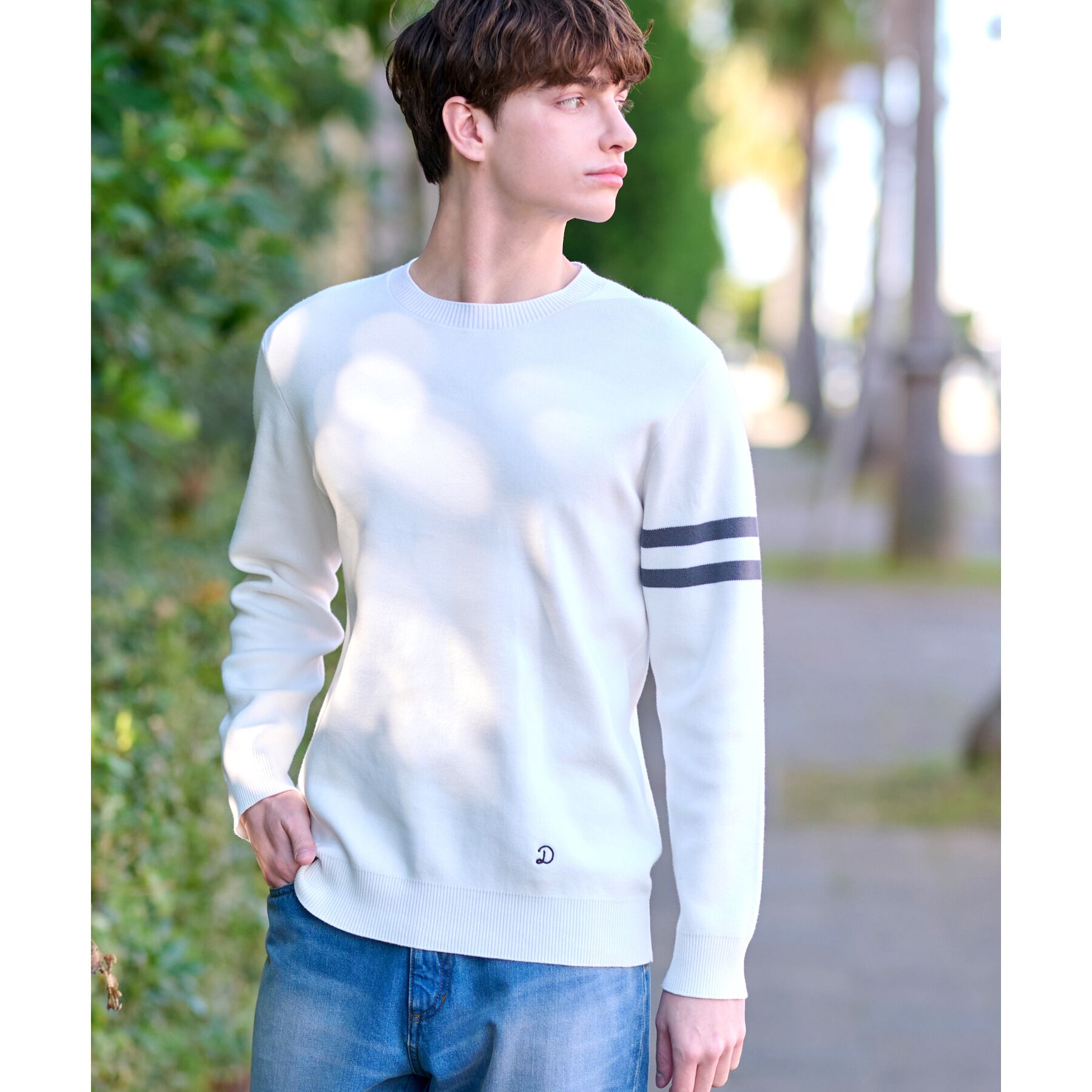 DRESSTERIOR「コットンスムース アームラインクルーネックニット」|ニット・セーター|