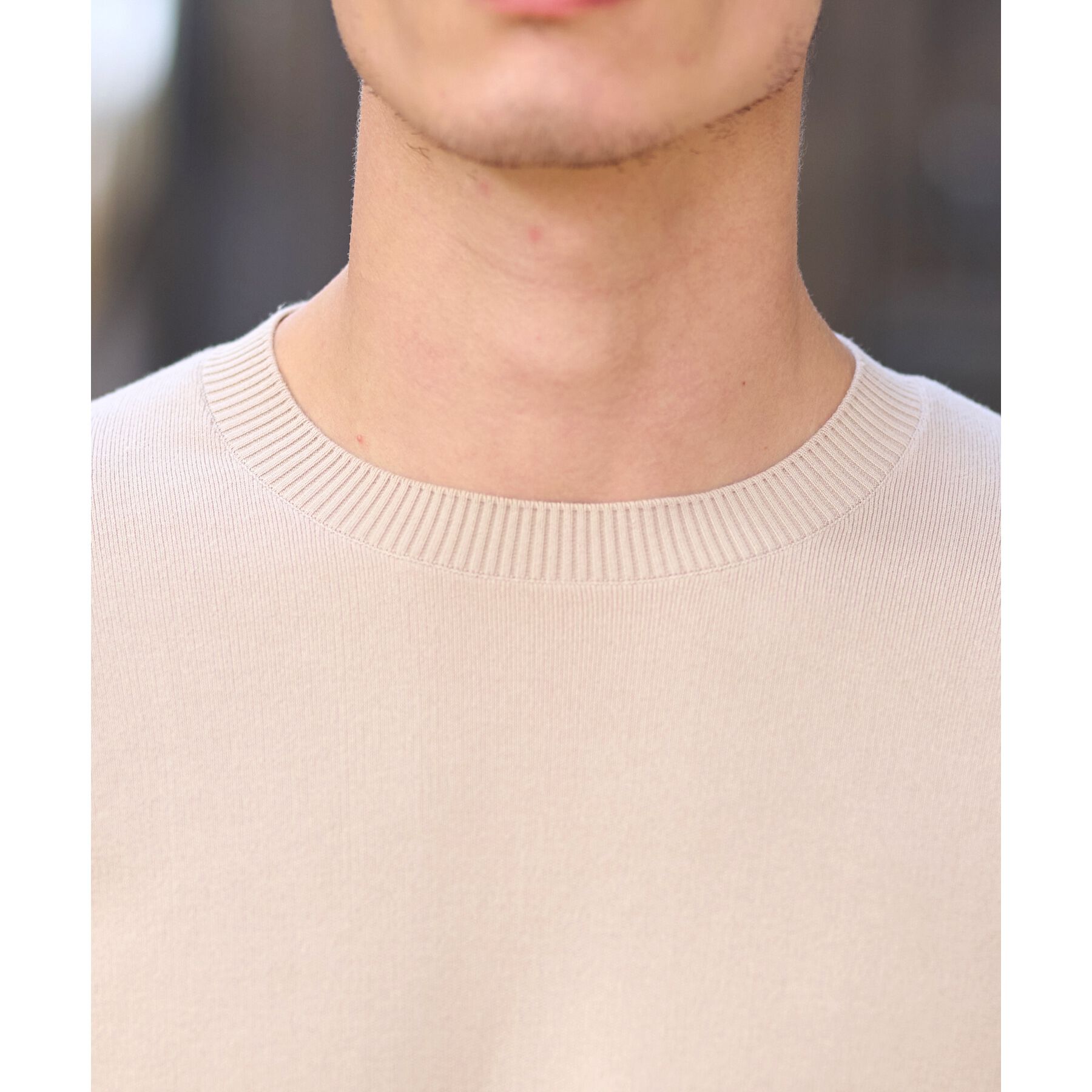 DRESSTERIOR「コットンスムース アームラインクルーネックニット」|ニット・セーター|