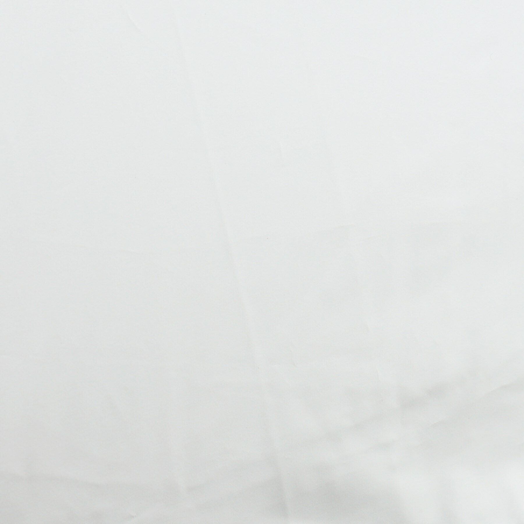 SHOO･LA･RUE「【折りたたみ傘/晴雨兼用/because】パールブスーパーライト」|傘|