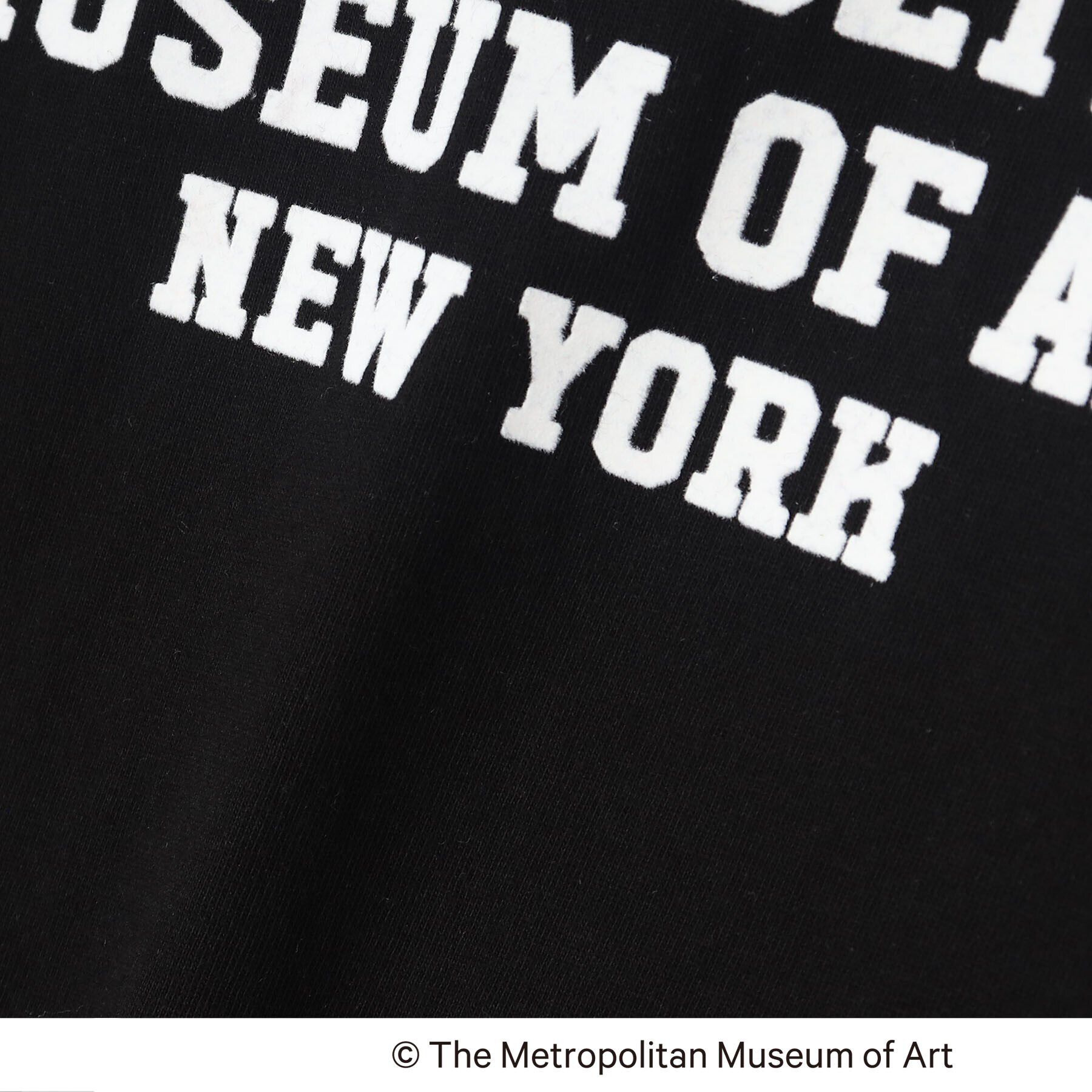 Dessin「【THE　MET】コラボTシャツ」|Tシャツ・カットソー|