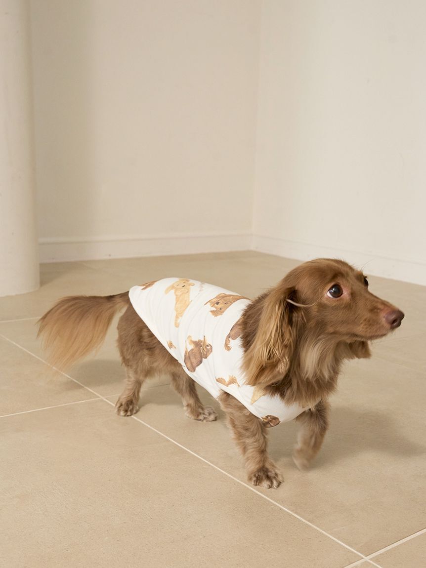  GELATO PIQUE CAT&DOG「【CAT&DOG】ダックスフンド柄カットソープルオーバー」|その他|