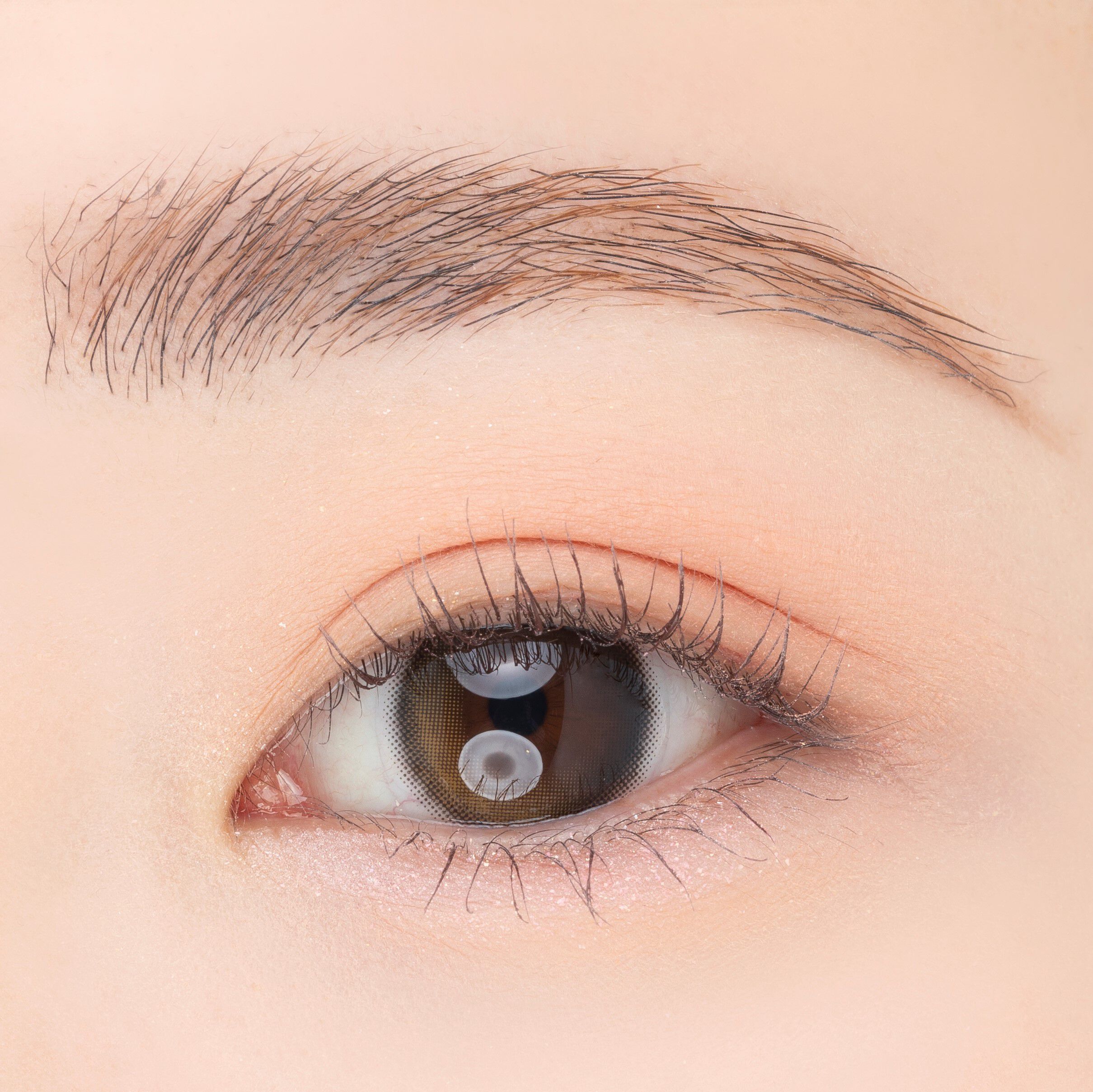 PAUL&JOE「ポール & ジョー アイデザインパレット ０３「トレッス」」|アイシャドウ|