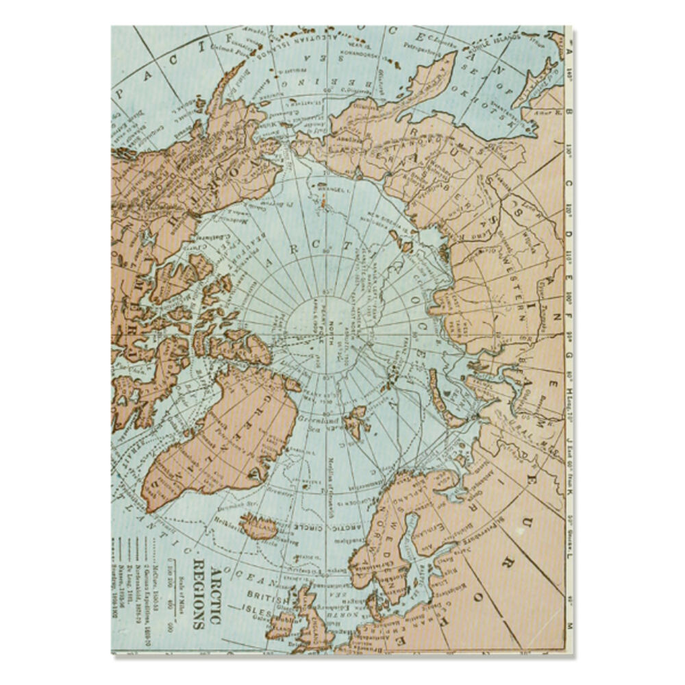 BACKYARD FAMILY「ブックカバー フリーサイズ 通販 文庫 a5 b6 四六判 単行本 読書 本 カバー タイベック」|その他|その他12