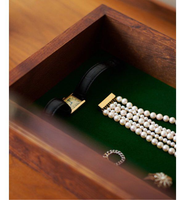 ACME「SHOW CASE S アクセサリーケース」|その他|