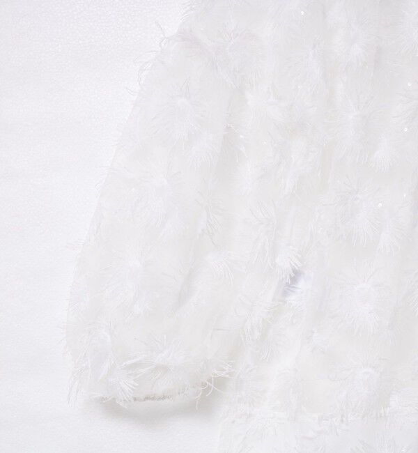 NOLLEY'S「シアーフラワーモチーフブラウス」|シャツ・ブラウス|