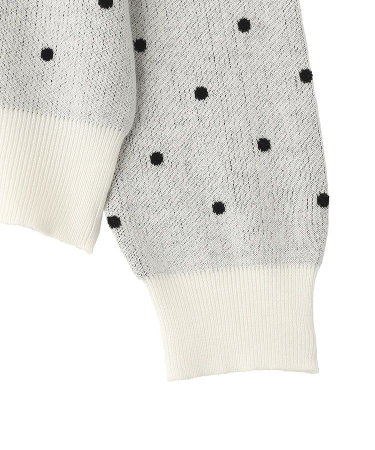 earth music&ecology「ドットジャガードカーディガン」|カーディガン|