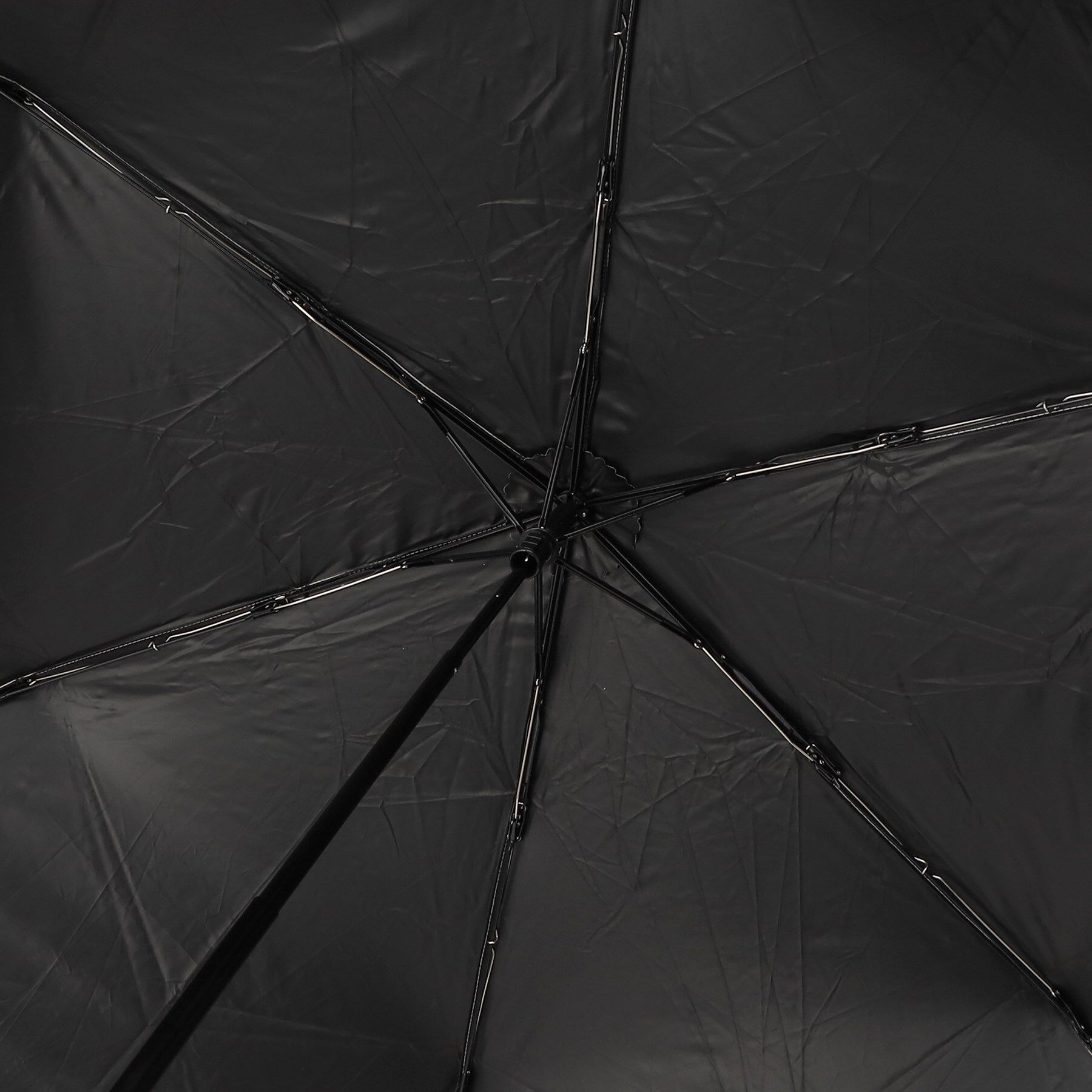 SHOO･LA･RUE「【折りたたみ傘/because】 ラインフラワーミニ」|傘|