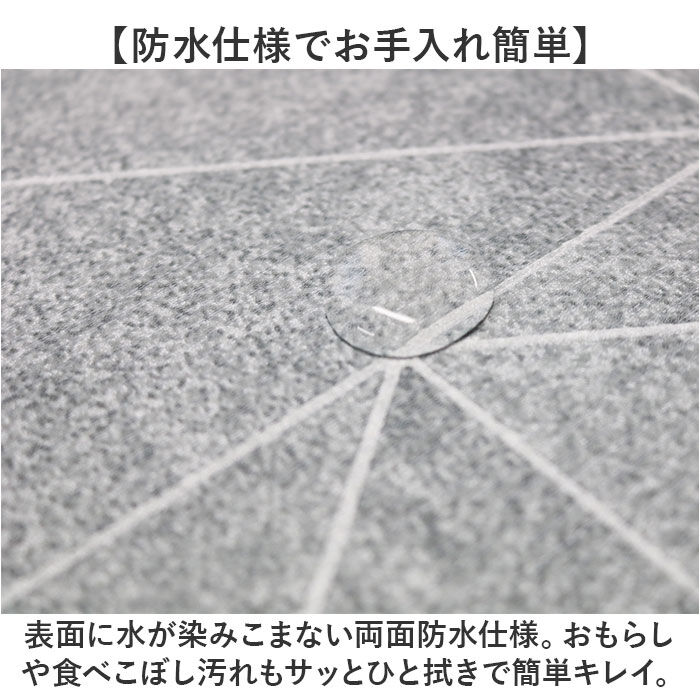 BACKYARD FAMILY「明和グラビア ペット 消臭 マット 通販 日本製 ひんやりマット 消臭マット 防水マット」|その他|