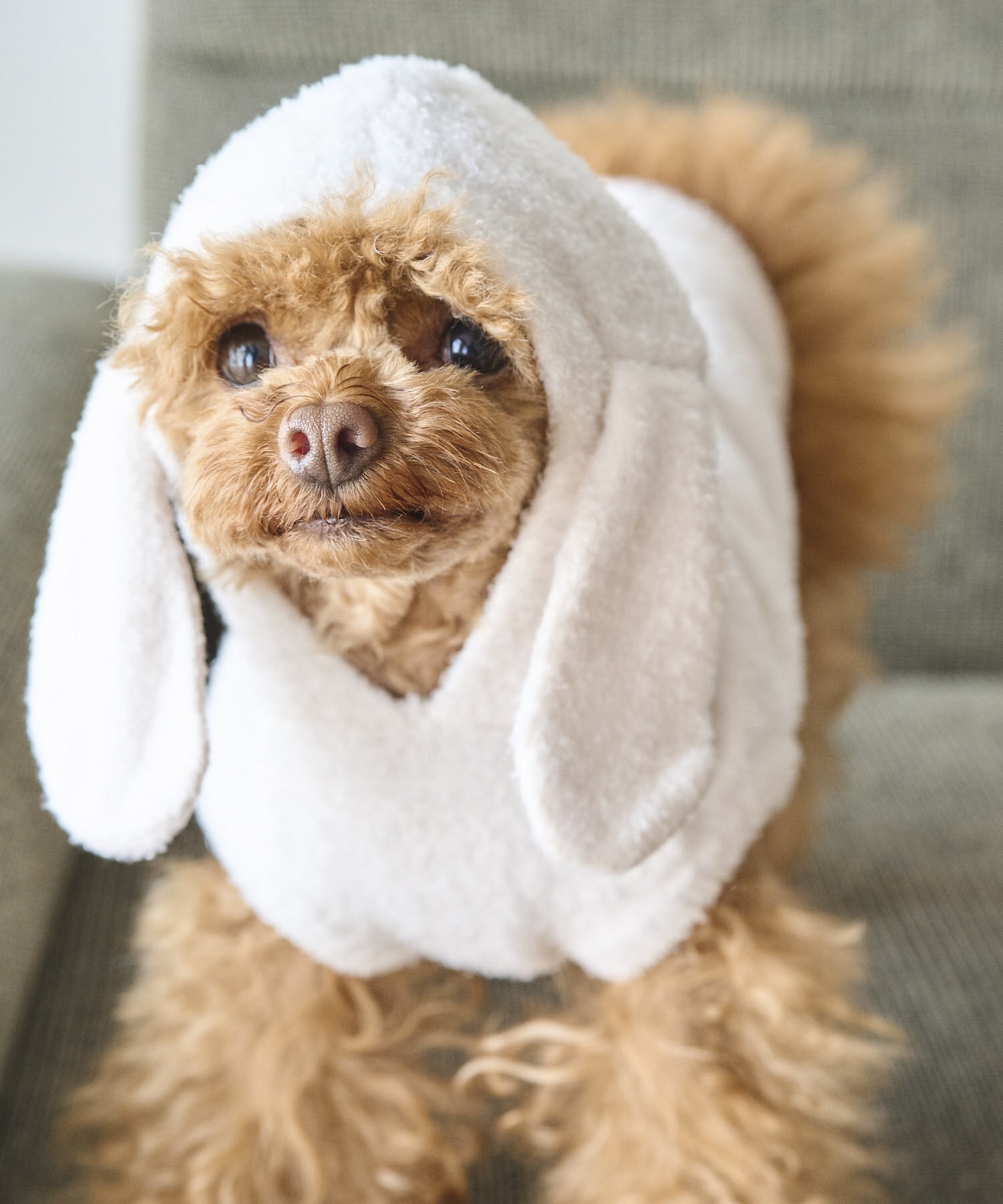 ROPE PICNIC PASSAGE「【DOG】ロップイヤーうさみみパーカー」|その他|